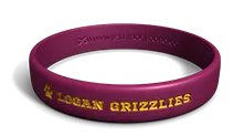 Logan-Grizzlies_School-Wristbands.webp