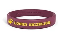 School Wristband webp.webp